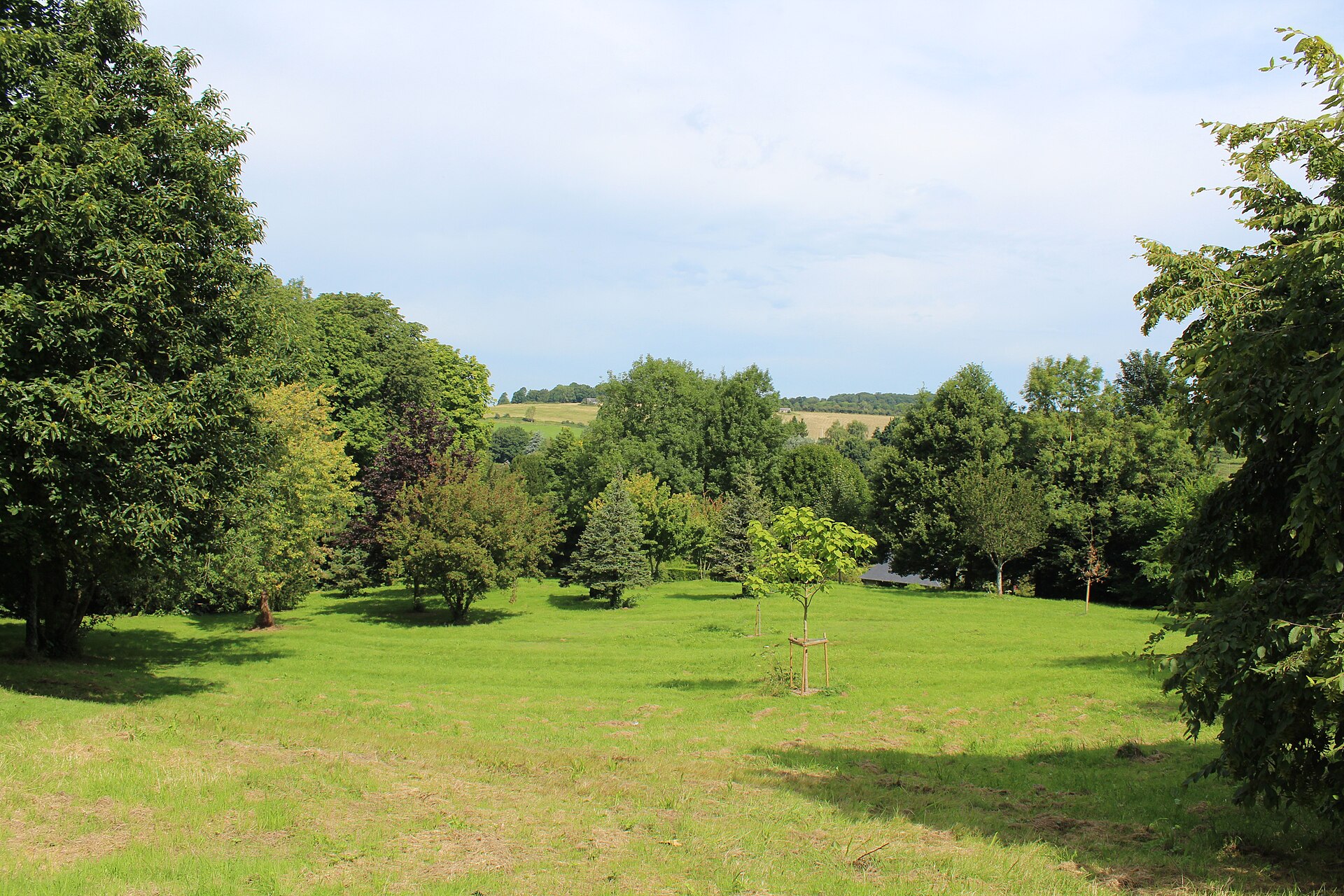 Une clairière de l'arboretum de Lisieux