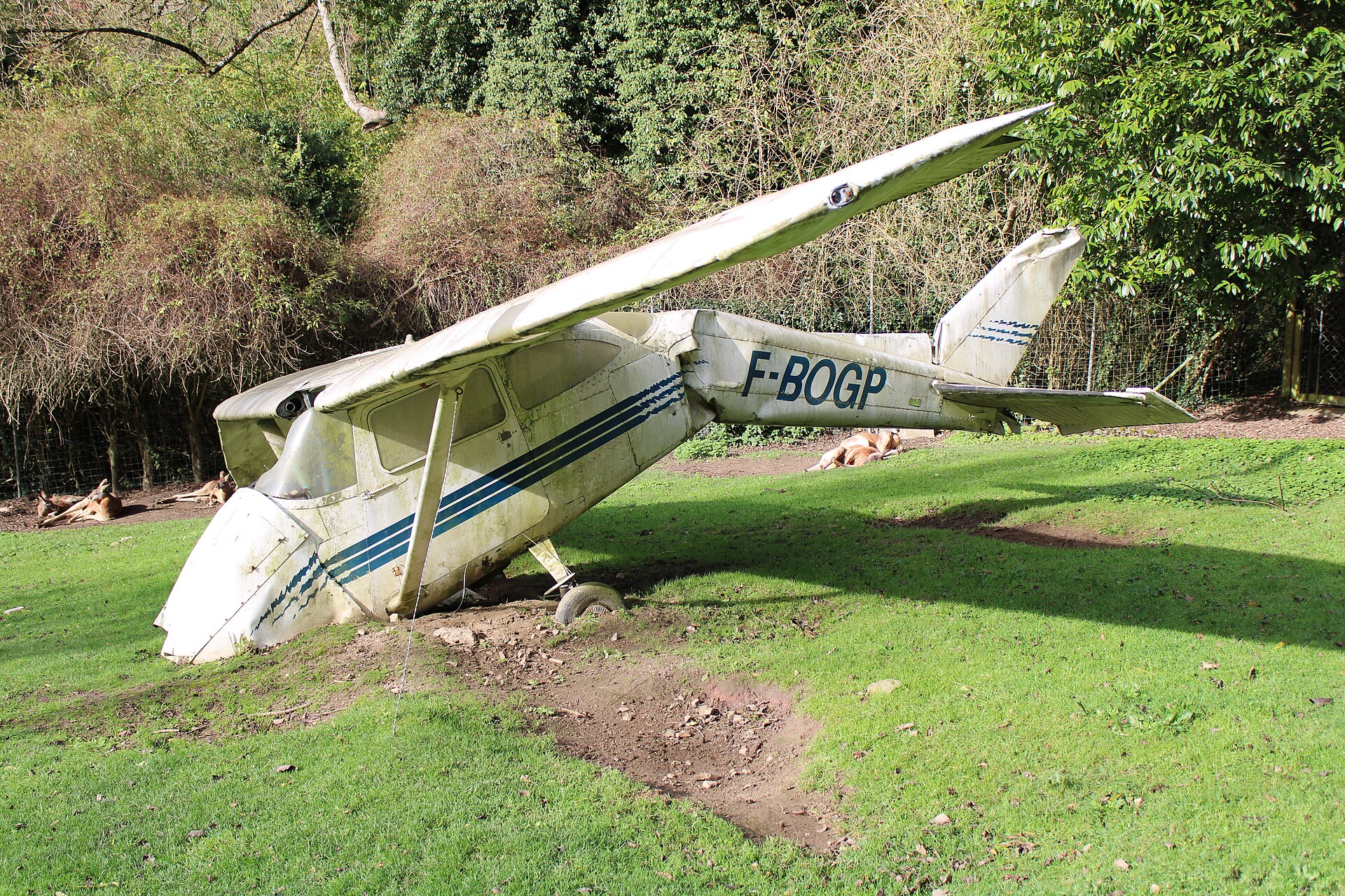Un avion de tourisme posé en décor sur une pelouse du parc Cerza