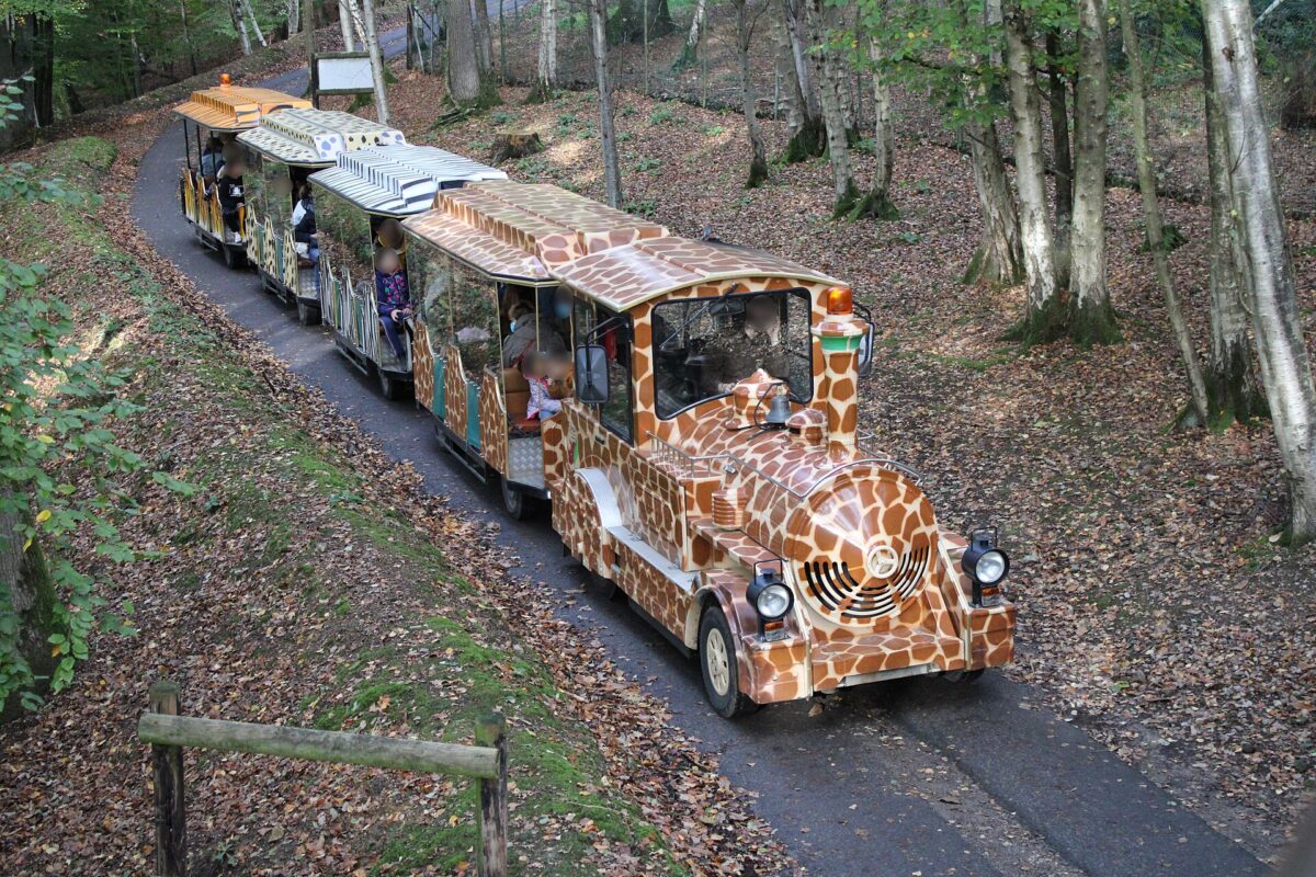 Le safari train dans le sous-bois du parc