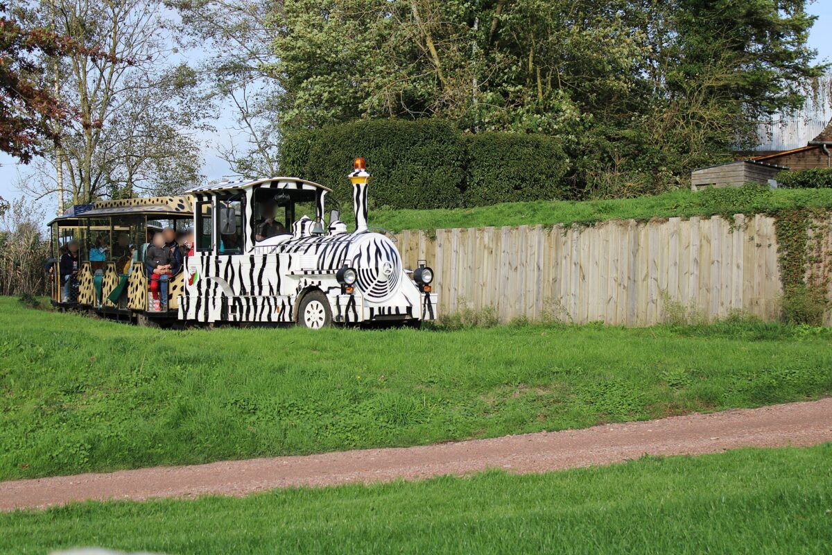 Le safari train, compris dans l'entrée