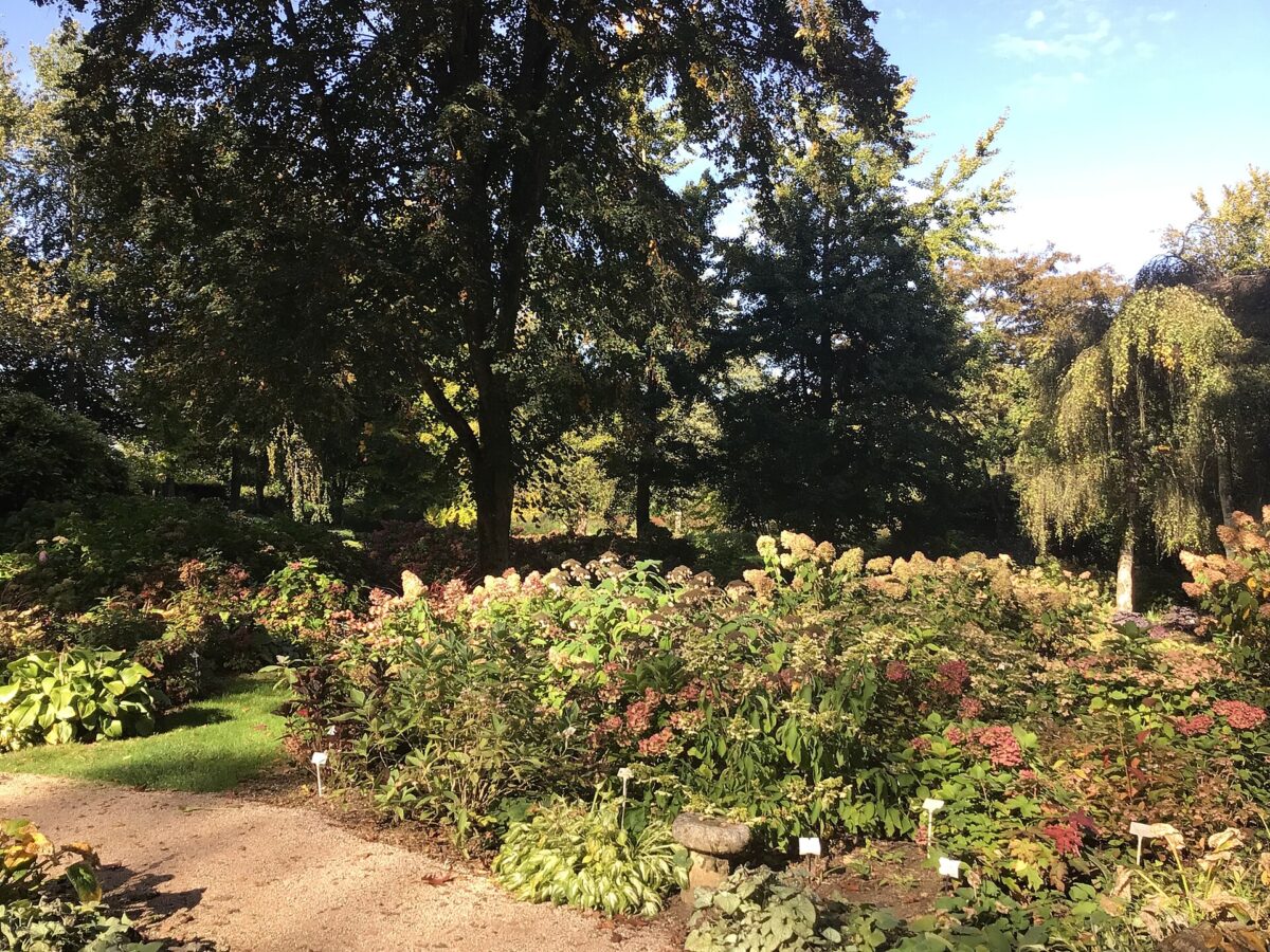 Les massifs des Jardins du pays d'Auge
