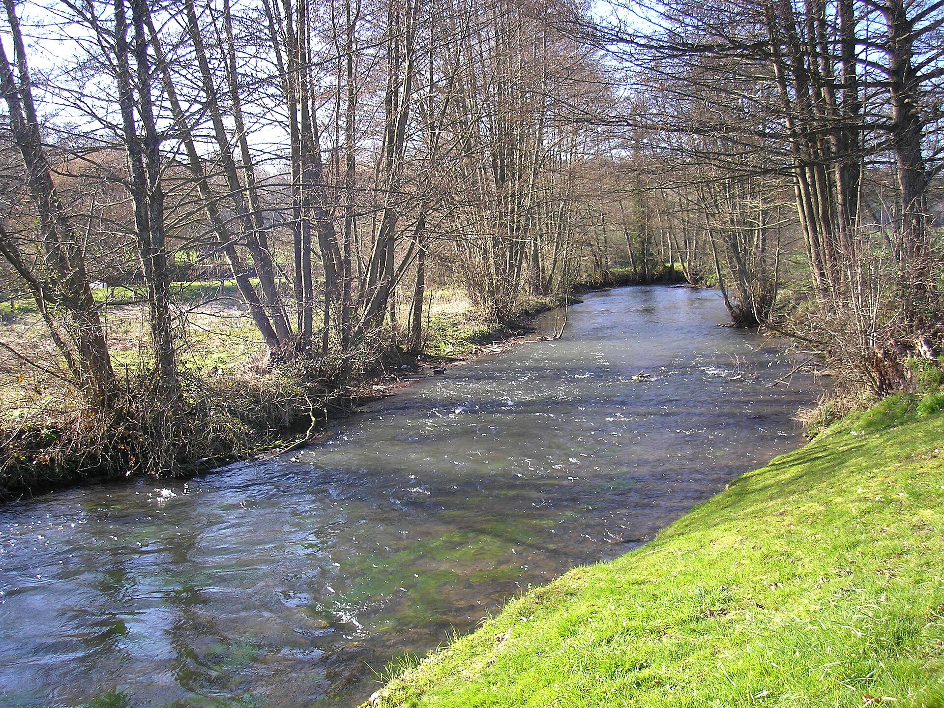 L'Orbiquet entre prés et arbres au Mesnil-Guillaume, près de Glos