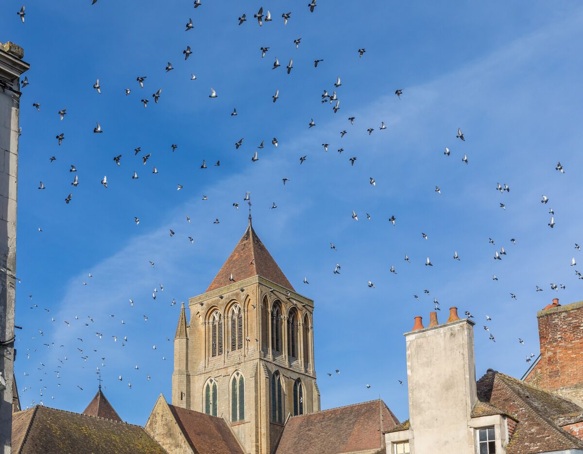 Saint-Pierre-sur-Dives